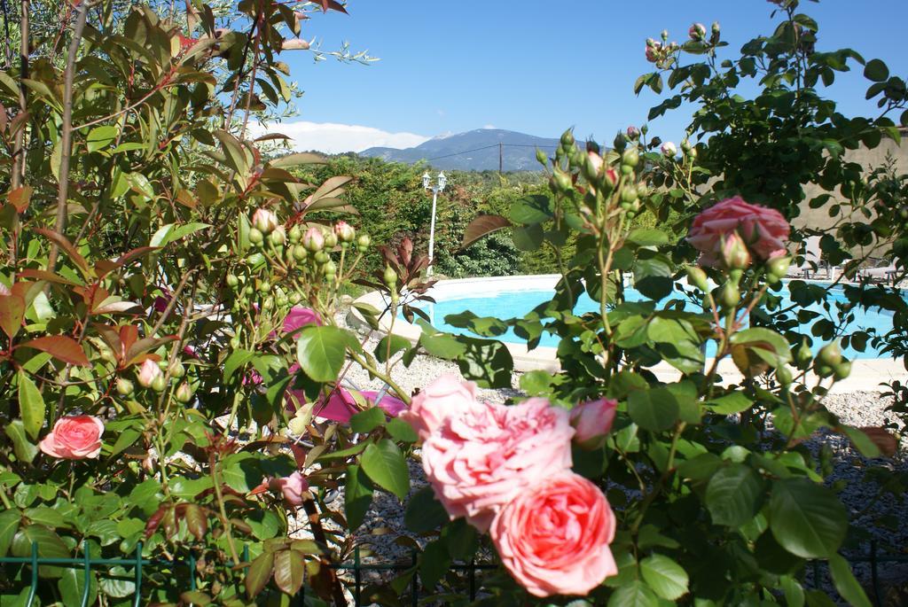 Les Romarins Bed & Breakfast Crestet Room photo